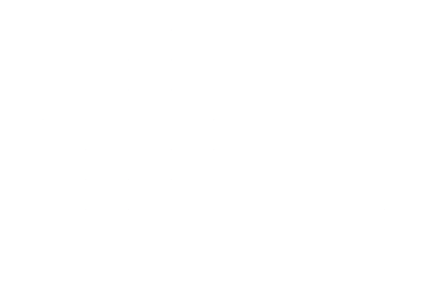 Ville de Carcassonne