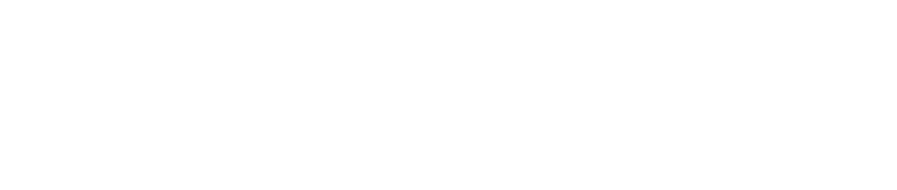 Les (Re)visiteurs de l'histoire